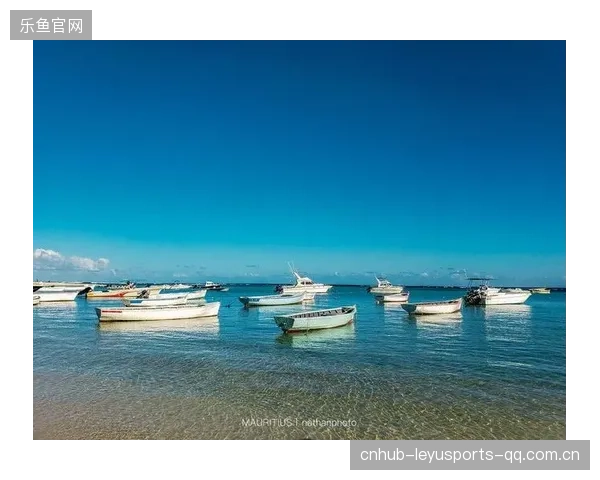 冲浪男选手与海豚共舞：海浪中的绝美画卷